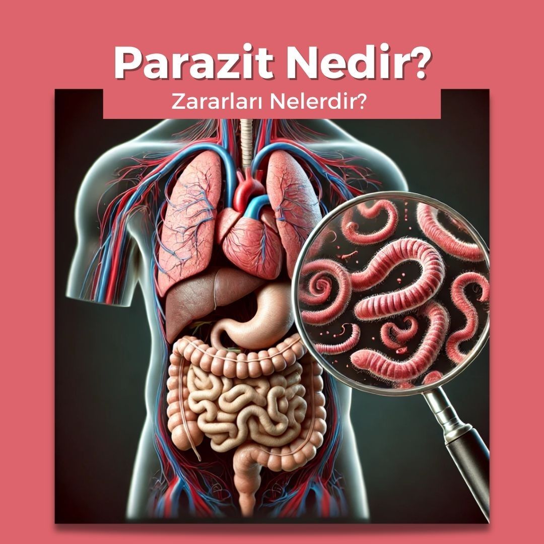 Parazit Nedir? Zararları Nelerdir?